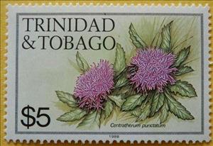 Stamp, Centratherum punctatum, Trinidad and Tobago,  