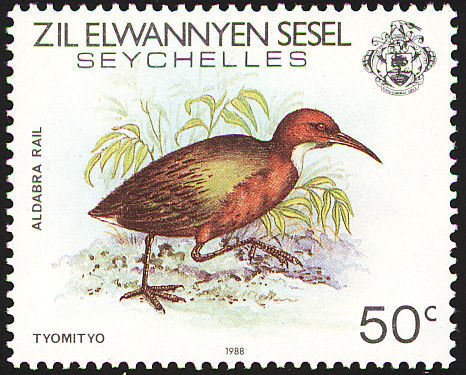 Aldabra rail