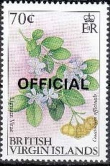 Lignum vitae