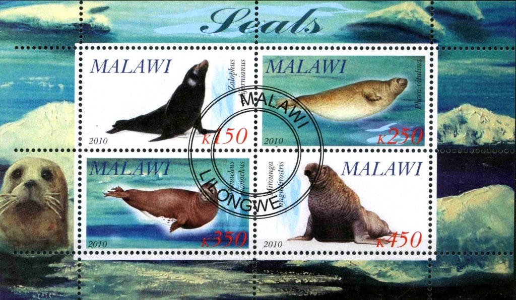 Seals
