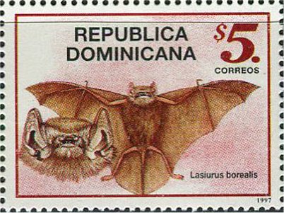 Bats