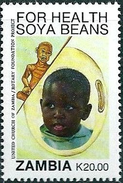 For Health Soya Beans