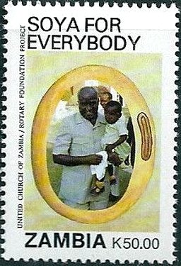 Soya for Everybody