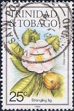 Stamp, Strangling fig, Trinidad and Tobago,  , Flowers, Plants (Flora)