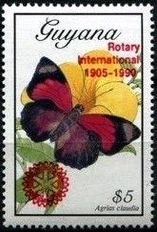 Stamp, Agrias claudia, Guyana,  , Butterflies