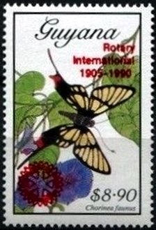 Stamp, Chorinea faunus, Guyana,  , Butterflies