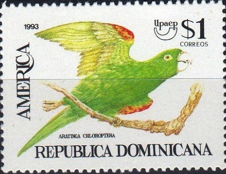Aratinga chloroptera