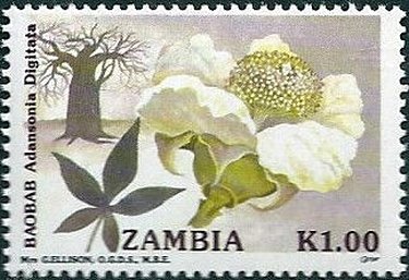 Stamp, Baobab, Zambia,  , Flowers, Plants (Flora), Trees