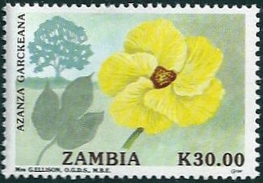 Azanza garckeana