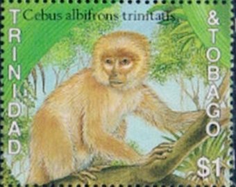Stamp, Trinidad White-fronted Capuchin (Cebus albifrons trinitatis), Trinidad and Tobago,  , Animals (Fauna), Mammals, Monkeys