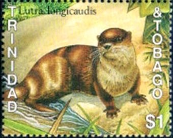 Stamp, Neotropical Otter (Lutra longicaudis), Trinidad and Tobago,  , Animals (Fauna), Mammals, Otters