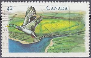 Stamp, South Saskatchewan River, Canada,  , Animals (Fauna), Birds, Landscapes, Rivers