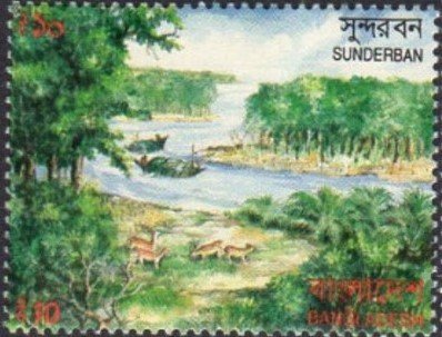Sunderban