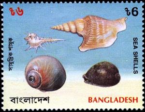 Stamp, Snail, three other shells, Bangladesh,  , Shells