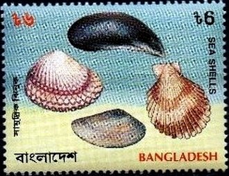 Stamp, Scallop, other shells, Bangladesh,  , Shells