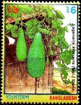 Lagenaria siceraria