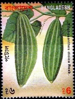 Trichosanthes dioica