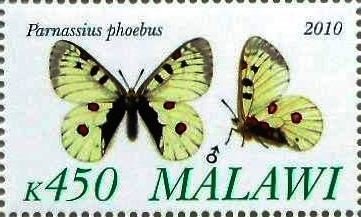 Stamp, Parnassius phoebus, Cinderellas,  , Butterflies, Insects