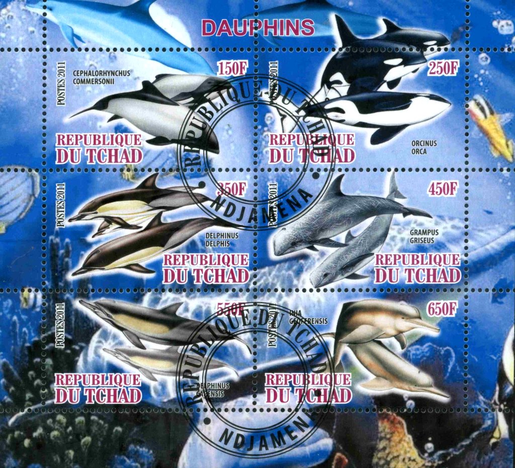 Dauphins
