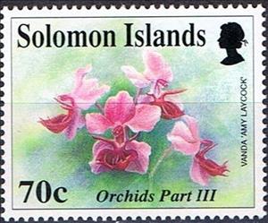 Stamp, Vanda "Amu Laycock, Solomon Islands,  , Orchids, Plants (Flora)