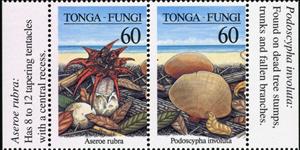 Se-tenant, Mushrooms, Tonga,  , Mushrooms