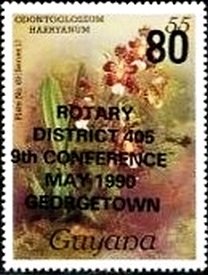 Stamp, Odontoglossum harryanum, Guyana,  , Orchids