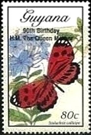 Stalachtis calliope