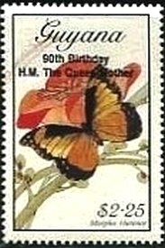 Stamp, Morpho rhetenor, Guyana,  , Butterflies