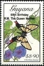 Stamp, Chorinea faunus, Guyana,  , Butterflies