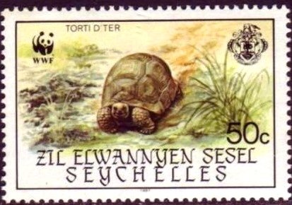 Giant Tortoise of Aldabra