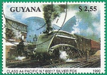 Pacific Silver Fox