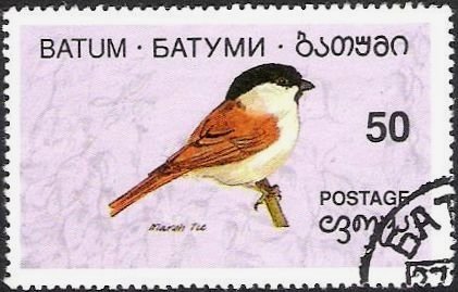 Bird