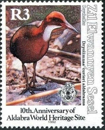 Dryolimnas cuvieri aldabranus