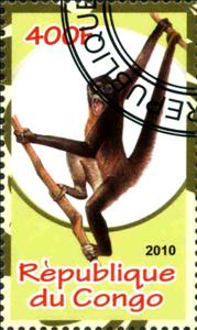 Stamp, Monkey, Cinderellas,  