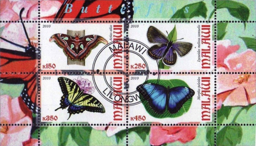Butterflies
