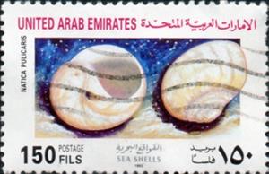 Stamp, Moon Snail (Natica pulicaris), United Arab Emirates,  , Shells
