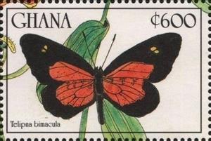 Stamp, Telipna acraea, Ghana,  , Butterflies