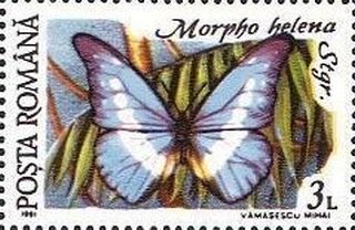 Stamp, Morpho helena, Romania,  , Animals (Fauna), Butterflies, Insects