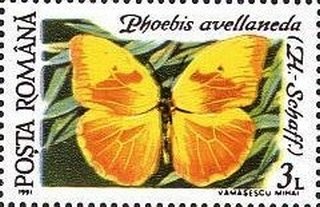 Stamp, Phoebis avellaneda, Romania,  , Animals (Fauna), Butterflies, Insects