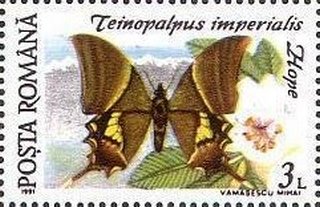 Stamp, Teinopalpus imperialis, Romania,  , Animals (Fauna), Butterflies, Insects