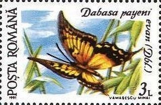 Dabasa payeni