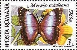 Stamp, Morpho achilleana, Romania,  , Animals (Fauna), Butterflies, Insects