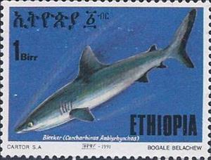 Stamp, Bleeker, Ethiopia,  , Animals (Fauna), Fishes