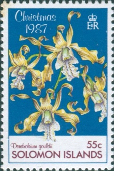 Dendrobium gouldii