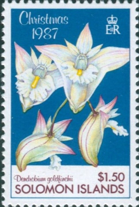 Dendrobium goldfinchii