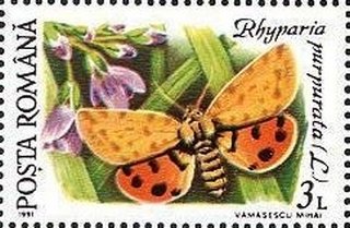 Stamp, Rhyparia purpurata, Romania,  , Animals (Fauna), Butterflies, Insects