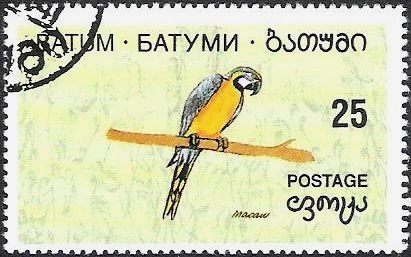 Bird