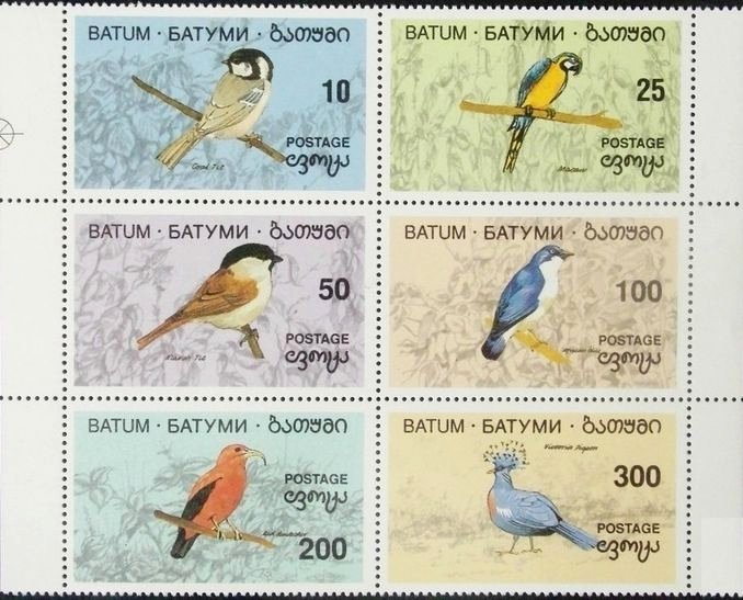 Birds