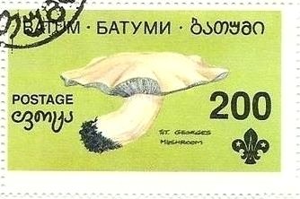 Stamp, Mushroom, Cinderellas,  , Mushrooms