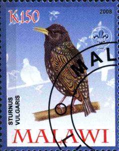 Stamp, Sturnus Vulgaris, Cinderellas,  , Birds
